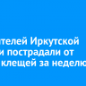 335 жителей Иркутской области пострадали от укусов клещей за неделю