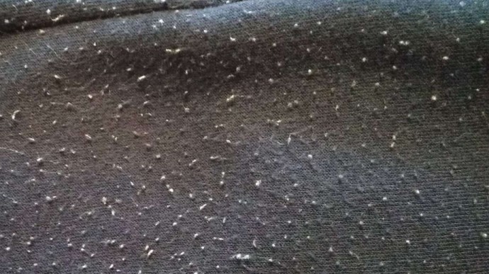 Простой способ убрать катышки: одежда будет как новая, лайфхак из Европы Простой способ убрать катышки: одежда будет как новая, лайфхак из Европы