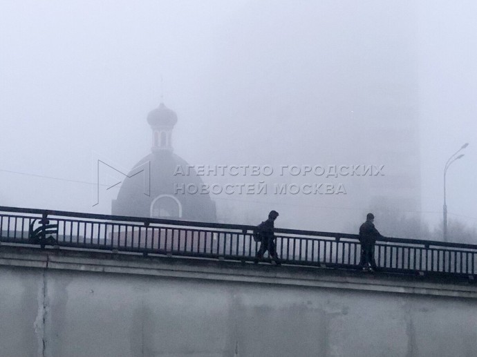 МЧС предупредило о тумане в Подмосковье в ночь на вторник