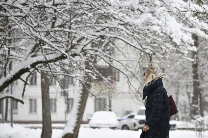 Синоптик Позднякова: В конце декабря в Москве пройдет сильный снегопад