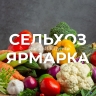 В Уфе в выходные пройдут сельскохозяйственные ярмарки