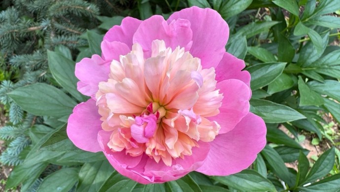 Сделайте это после первых заморозков: садоводам Башкирии дали ценные советы Сделайте это после первых заморозков: садоводам Башкирии дали ценные советы