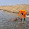 «Отнесло на два километра»: в Приморье спустя пять месяцев нашли тело рыбака