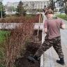 В Благовещенске стартовали работы по озеленению