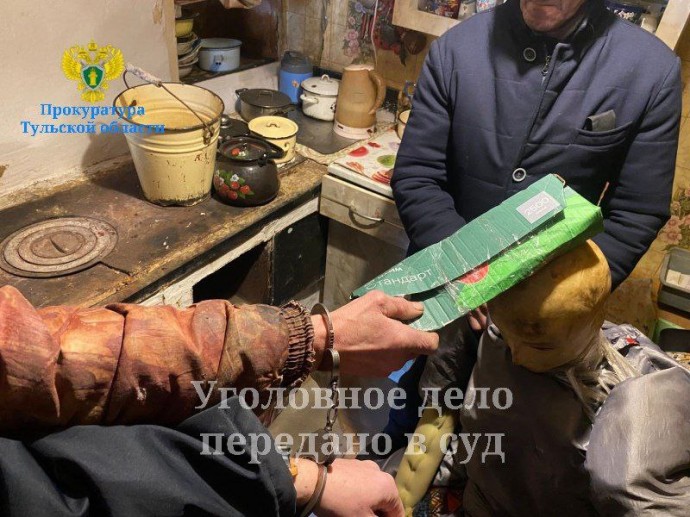 Мужчина из Богородицка, забивший сожительницу бревном, признал свою вину