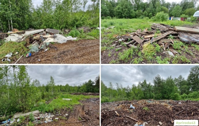 В Кирове через суд потребовали ликвидировать свалку в СНТ В Кирове через суд потребовали ликвидировать свалку в СНТ