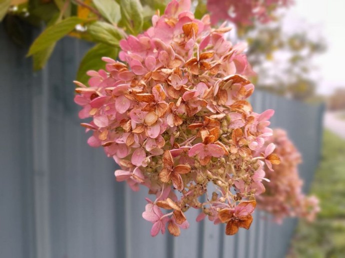 Погода во Владивостоке: третий день в городе на два градуса холоднее нормы Погода во Владивостоке: третий день в городе на два градуса холоднее нормы