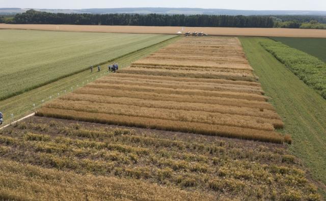 Крупным инвесторам в Башкирии разрешат закладывать арендованную землю Крупным инвесторам в Башкирии разрешат закладывать арендованную землю
