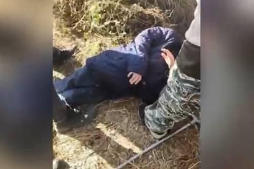 В Благовещенске в кустах нашли попавшую в беду пожилую женщину В Благовещенске в кустах нашли попавшую в беду пожилую женщину