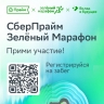 Традиционный благотворительный забег «Зелёный марафон» пройдёт в Костроме