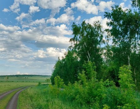 В Башкирии в ближайшие три дня ожидается жара до +32°