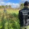 Криминалисты СК России обнаружили массовое захоронение жертв времен Великой Отечественной войны