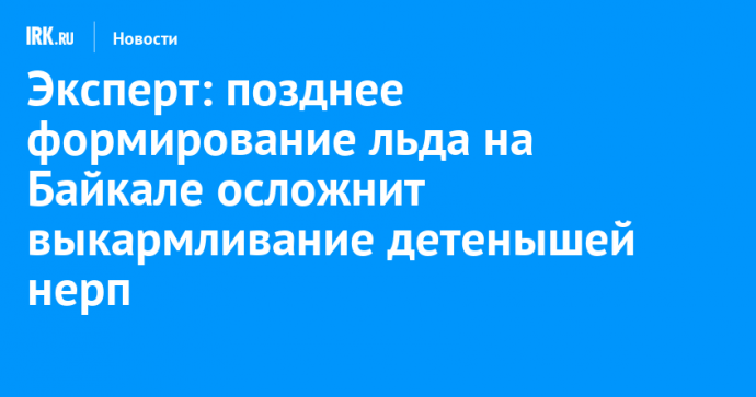 Эксперт: позднее формирование льда на Байкале осложнит выкармливание детенышей нерп