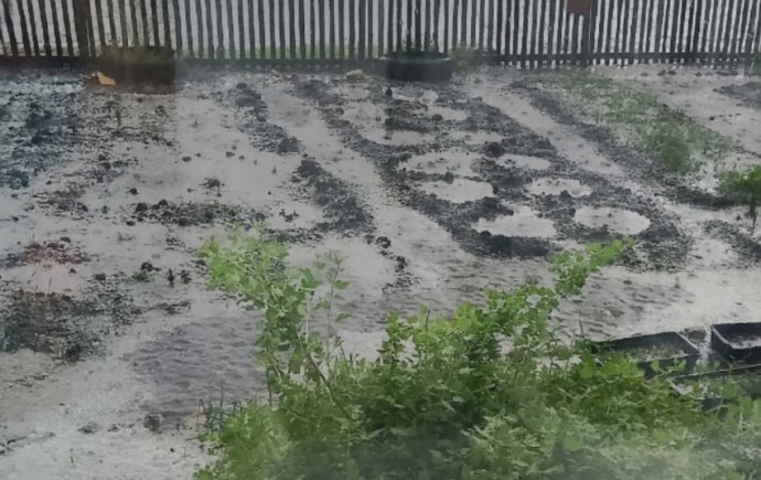 Урожая не будет? На Южном Урале посадки в садах побило градом