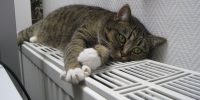 В Астрахани отремонтировали 29 котельных и обновили свыше трёх километров теплосетей
