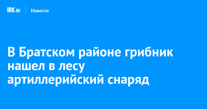 В Братском районе грибник нашел в лесу артиллерийский снаряд