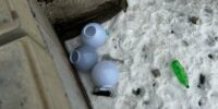 В Астрахани разбили окна троллейбусов, почти 8 лет ржавеющих в парке