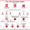Карта москвича для почетных доноров: кто и как может ее получить
