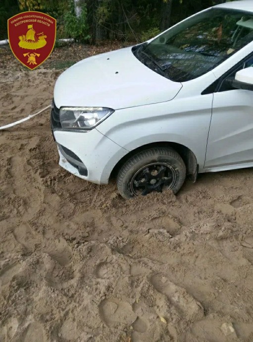 Мать с детьми не смогла выехать из костромского леса