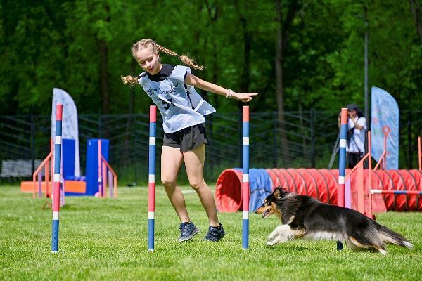 В Москве пройдёт второй чемпионат РКФ по аджилити на Кубок столицы