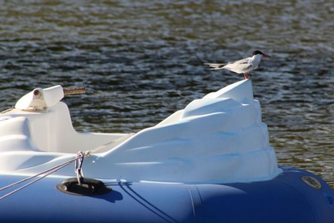 Какая погода ждет сегодня астраханцев Какая погода ждет сегодня астраханцев