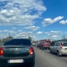 В Курской области участились случаи ДТП с участием диких животных