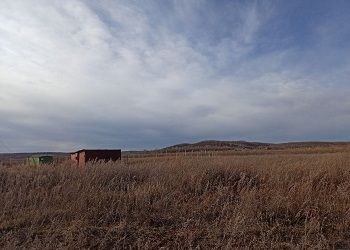 В Приамурье суд признал недействительной сделку аренды земли В Приамурье суд признал недействительной сделку аренды земли