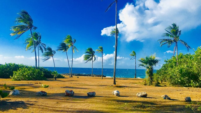 Курорт Ольгин на Кубе готов приему туристов: полетит ли туда чартер