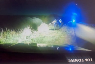 В Саранске водитель «Шкоды Октавии» опрокинулся в кювет, пытаясь скрыться от Госавтоинспекции