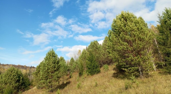 В Башкирию вернётся тепло