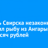 Житель Свирска незаконно выловил рыбу из Ангары на 307 тысяч рублей