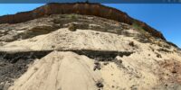Уникальная находка в Астрахани: кость пещерного льва нашли на берегу Волги