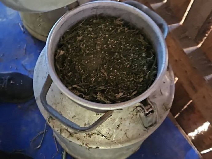 Приморские полицейские задержали владельца 40 килограммов «травы»