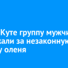 В Усть-Куте группу мужчин задержали за незаконную добычу оленя