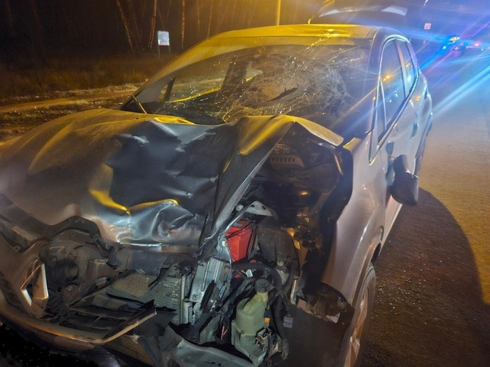 Два пешехода погибли под колёсами машин в Белгородской области