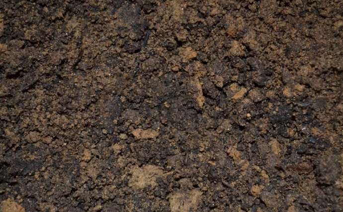 Суд поставил точку в деле о гибели рабочего на стройке в Южно-Сахалинске Суд поставил точку в деле о гибели рабочего на стройке в Южно-Сахалинске