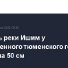Уровень реки Ишим у одноименного тюменского города вырос на 50 см