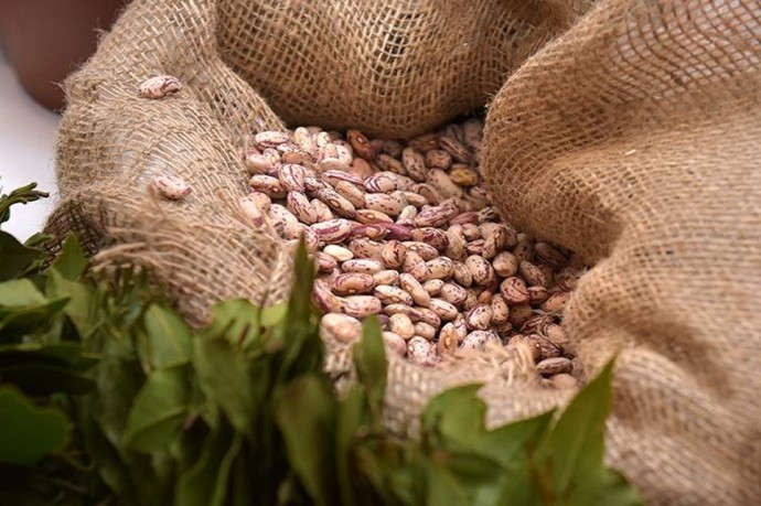 Диетолог рассказал, почему есть только бобовые может быть не так уж и полезно Диетолог рассказал, почему есть только бобовые может быть не так уж и полезно