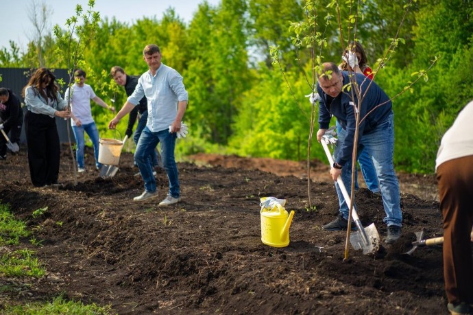 Финансовую помощь в Башкирии получили около 500 СНТ - Радий Хабиров