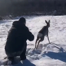 В Приамурье полицейские спасли косулю