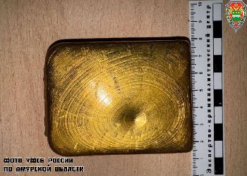 Казахстанца осудили в Благовещенске за золото в пауэрбанке Казахстанца осудили в Благовещенске за золото в пауэрбанке