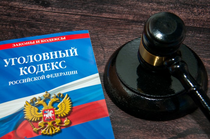 Глава ФССП: в России возбуждено 264 тысячи уголовных дел за неуплату алиментов