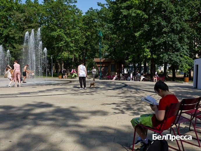Как отдохнуть белгородцам 8–10 августа