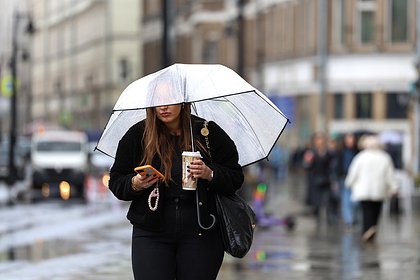 Москвичам рассказали о погоде на выходных