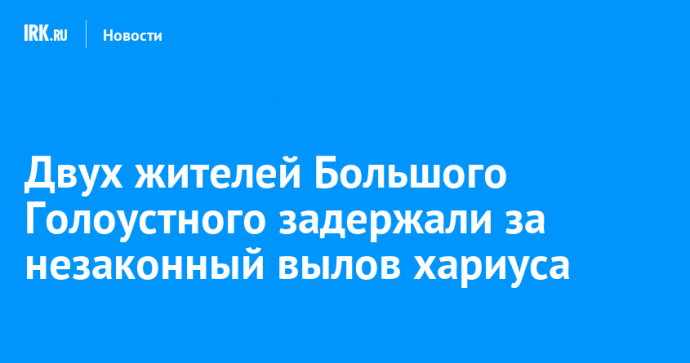 Двух жителей Большого Голоустного задержали за незаконный вылов хариуса