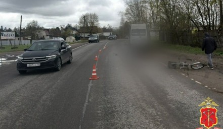 Водитель Peugeot насмерть сбил велосипедиста в Гатчинском районе