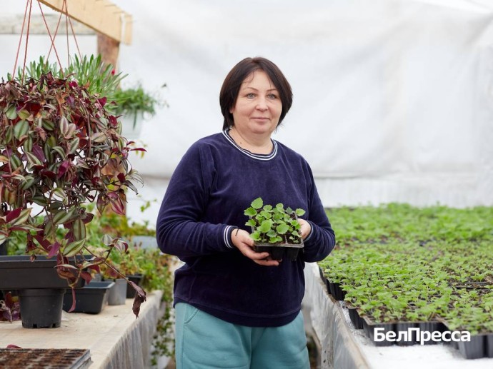 Новый старт любимого дела. Белгородцам соцконтракт помог возродить тепличное хозяйство