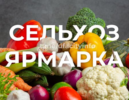 В День республики по Башкирии пройдут масштабные сельхозярмарки
