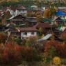 Российским дачникам раскрыли, стоит ли применять биопрепараты для сада осенью