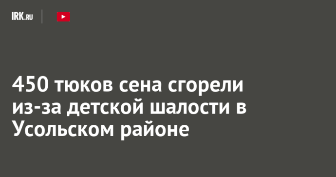 450 тюков сена сгорели из-за детской шалости в Усольском районе